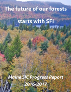 2016/2017 SFI Annual Report